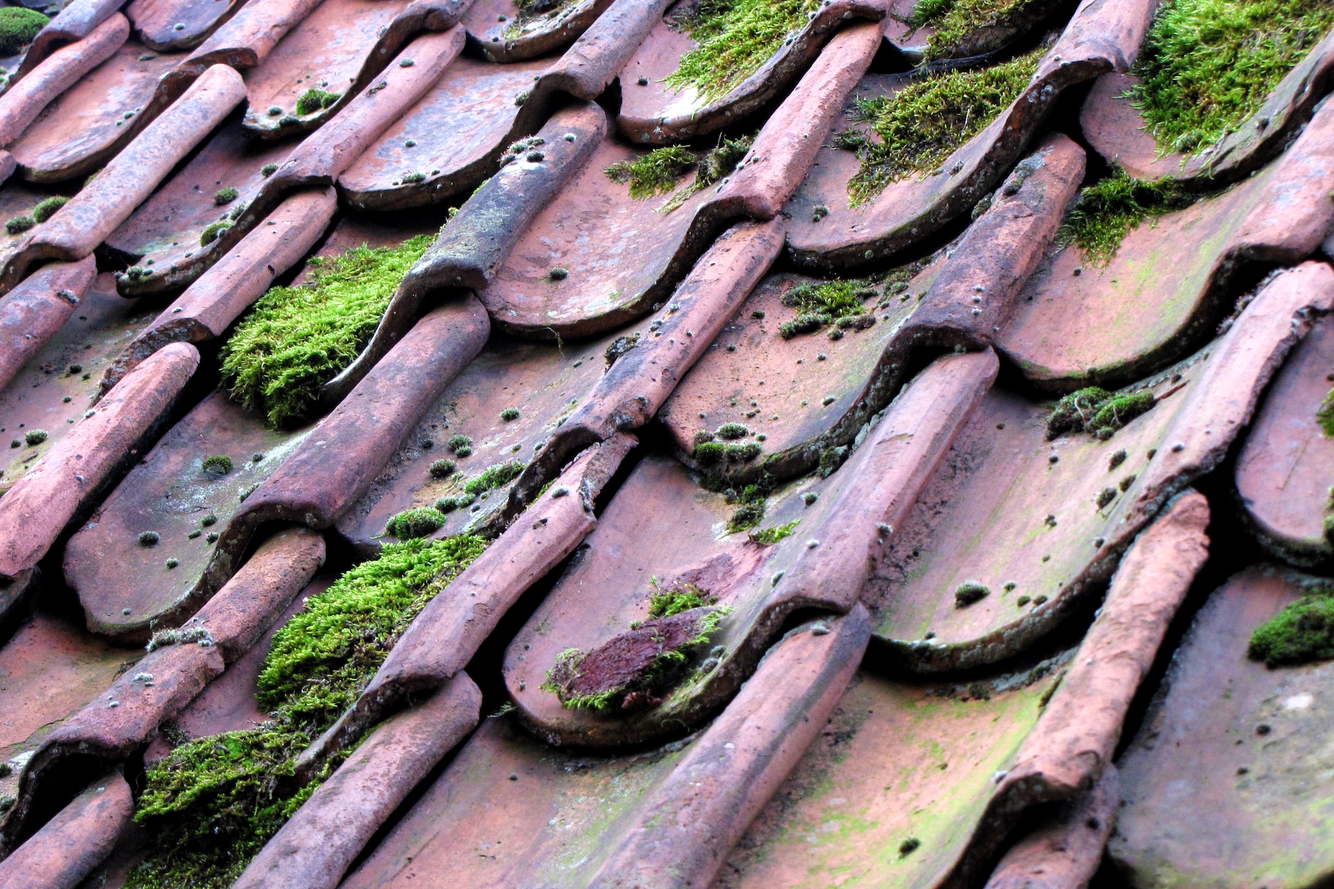 Read more about the article Common Causes of Roof Leaks in Australian Homes