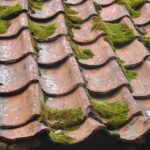 Read more about the article Warning Signs That You Need Roof Restoration for Your Home