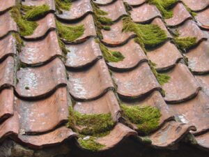 Roof Restoration