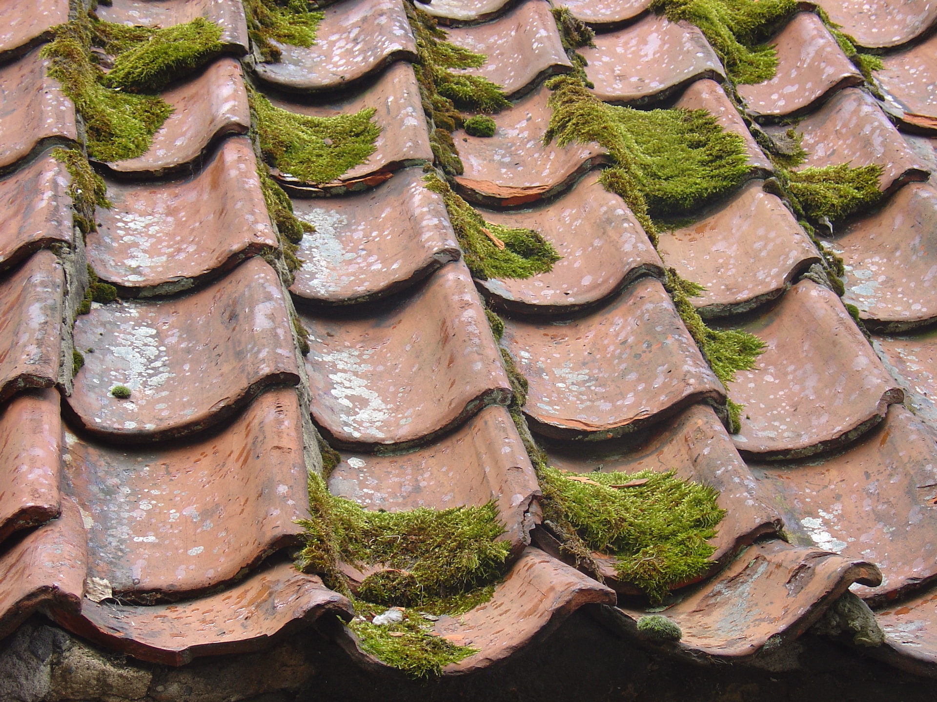 Read more about the article Warning Signs That You Need Roof Restoration for Your Home