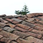 Read more about the article Expert Tips for Painting Terracotta Roof Tiles
