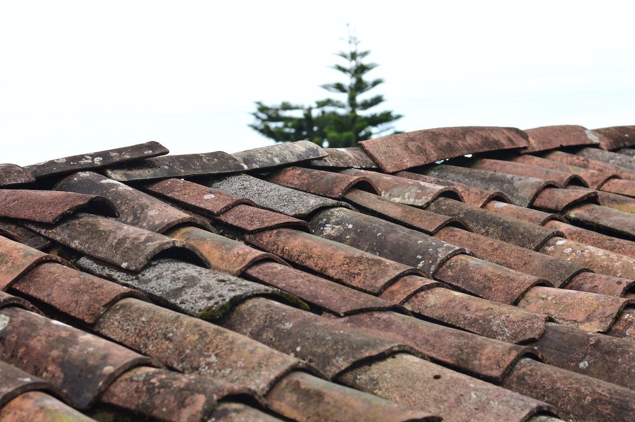 Read more about the article Expert Tips for Painting Terracotta Roof Tiles