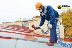 Roof Painting