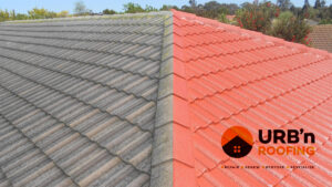 House Roof Painting Project