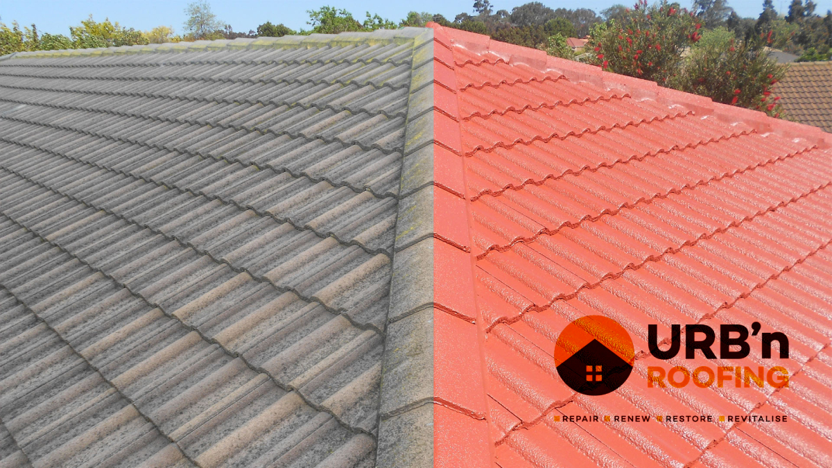 Read more about the article What Should You Know Before Diving Into A House Roof Painting Project