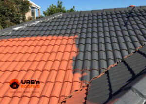 residential roof painting Brisbane