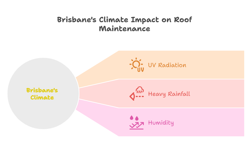 Why Brisbane Homes Are Especially at Risk