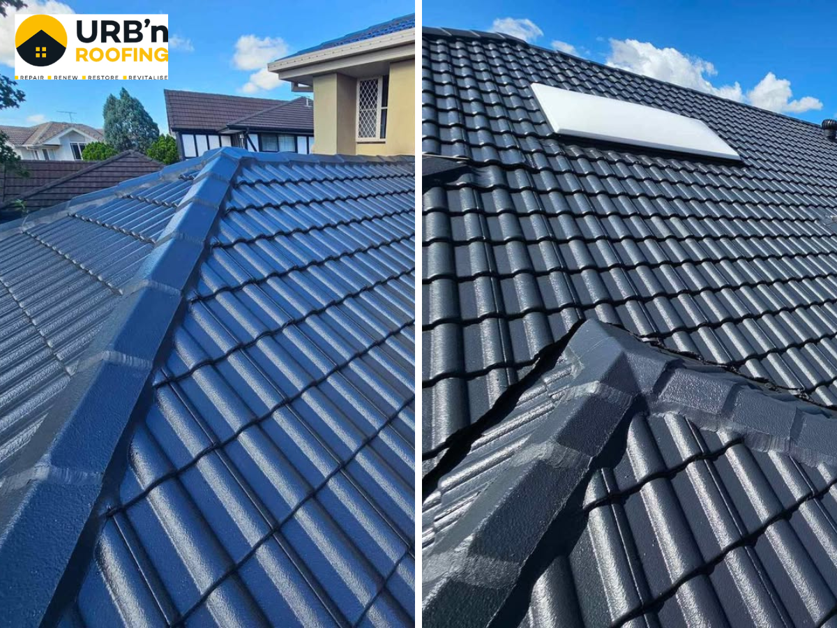 Roof restoration and painting