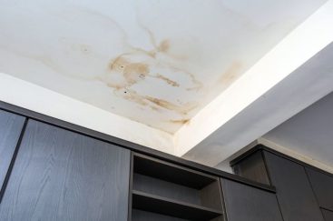 ROOF LEAK/MOULD REPAIRS